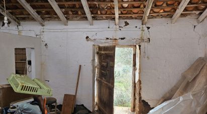Quinta T3 em Luzianes-Gare de 119 m²