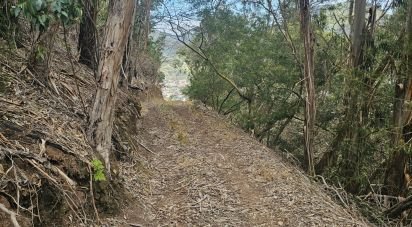Terreno em Água de Pena de 10 100 m²