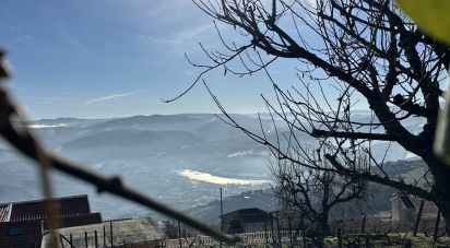 Moradia T2 em Loureiro de 118 m²