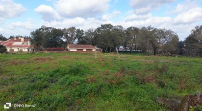 Farm T4 in Fiães of 14,751 m²
