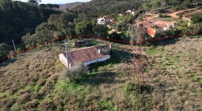 Quinta T2 em São Teotónio de 140 m²