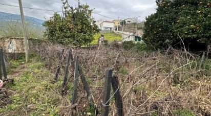 Terreno em Fontelas de 775 m²