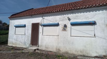 Maison T4 à Olho Marinho de 70 m²