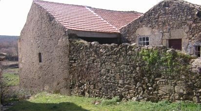 Casa de aldeia T0 em Quadrazais de 117 m²