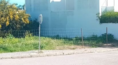 Terreno em Montenegro de 289 m²