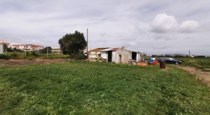 Moradia T2 em Montenegro de 60 m²
