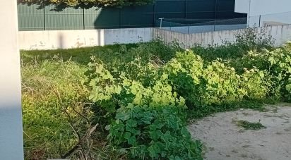 Terreno em Montenegro de 289 m²