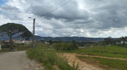 Terrain à bâtir à Cadaval e Pêro Moniz de 700 m²