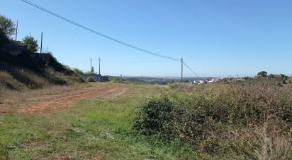 Terrain à bâtir à Lamas e Cercal de 22 480 m²