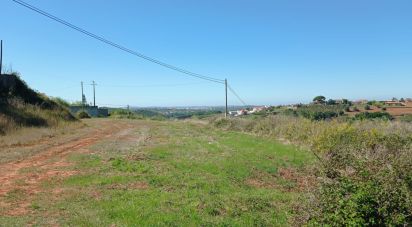 Terrain à bâtir à Lamas e Cercal de 22 480 m²