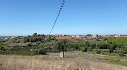Terrain à bâtir à Lamas e Cercal de 22 480 m²