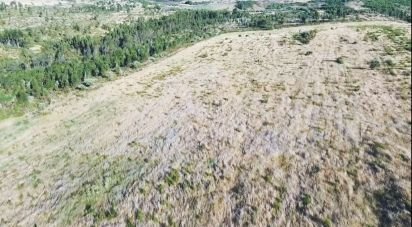 Terreno em Santiago Maior de 237 500 m²