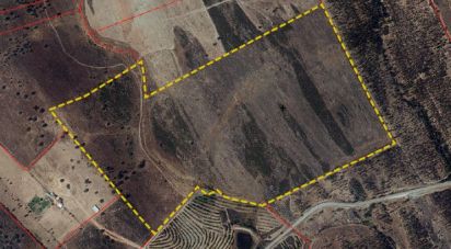 Terreno em Santiago Maior de 237 500 m²