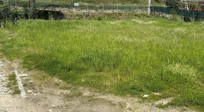 Terreno urbano em Parada de Cunhos de 439 m²