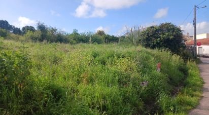 Terreno urbano em Lourinhã e Atalaia de 537 m²