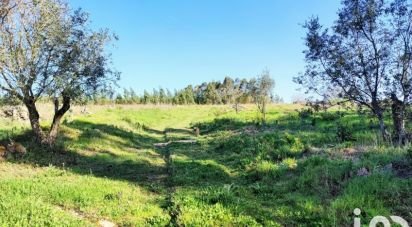 Terreno em Reguengo Grande de 27 508 m²