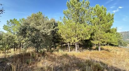 Terreno em Açores e Velosa de 49 492 m²