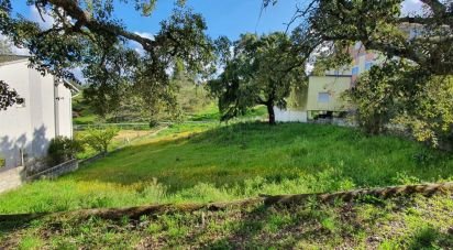 Building plot in Castelo Branco of 1,185 m²