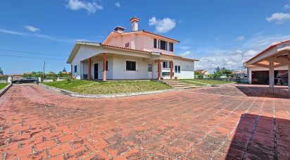 House T5 in Pardilhó of 226 m²