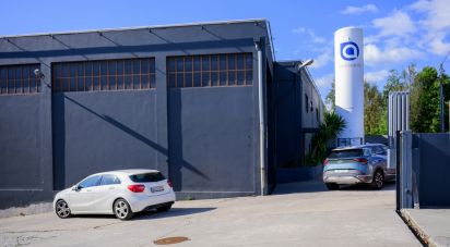 Pavilion T0 in Nogueira do Cravo e Pindelo of 1,606 m²