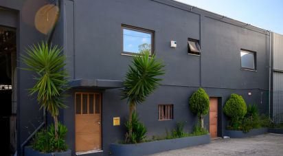 Pavilion T0 in Nogueira do Cravo e Pindelo of 1,606 m²