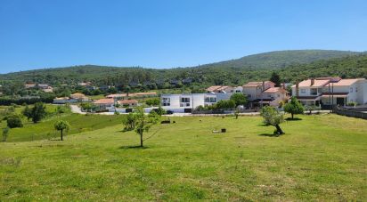 Terrain à Porto de Mós - São João Baptista e São Pedro de 2 800 m²