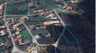 Land in Aguada de Cima of 2,446 m²