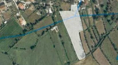 Terreno em Travanca de 7 837 m²