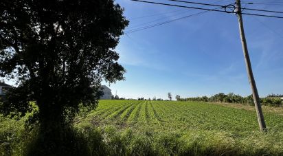 Land in Eixo e Eirol of 500 m²