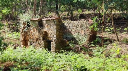 Terreno em Graça de 28 228 m²
