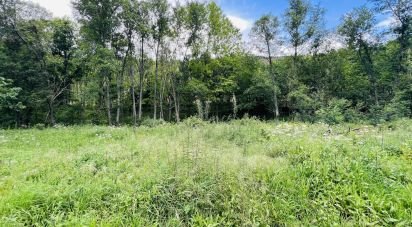 Terreno em Arganil de 16 920 m²