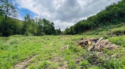Terreno em Arganil de 16 920 m²