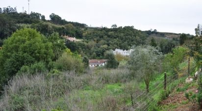 Terreno em Alcobaça e Vestiaria de 3 454 m²
