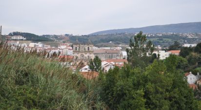 Terreno em Alcobaça e Vestiaria de 3 454 m²