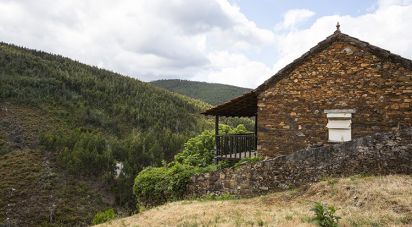 Country home T3 in Alvares of 150 m²