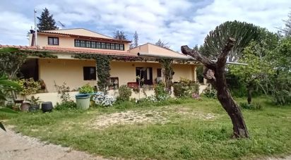 House T5 in Guia of 368 m²