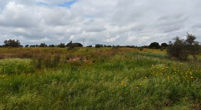 Building plot in Branca of 7,020 m²