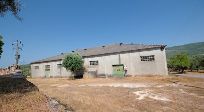 Armazém T0 em Arrimal e Mendiga de 590 m²