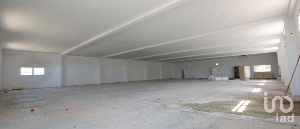 Pavillon T0 à Arrimal e Mendiga de 590 m²