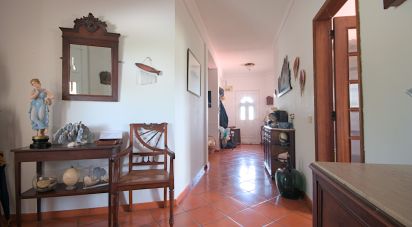 Quinta T4 em Cartaxo e Vale da Pinta de 396 m²