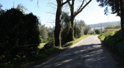 Terreno em Palmela de 7 120 m²
