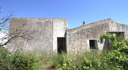 Terreno em Albufeira e Olhos de Água de 18 400 m²