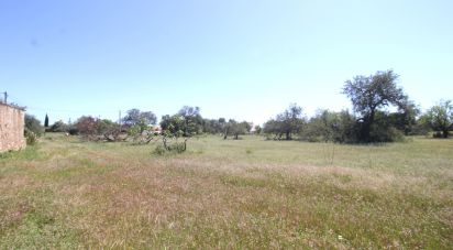 Terreno em Albufeira e Olhos de Água de 18 400 m²